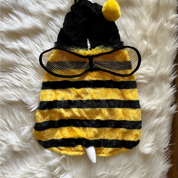 Pet Bumble Bee Costume. Size Large - Picture 2 of 8